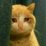 고민이야