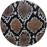 Snake Skin 1
