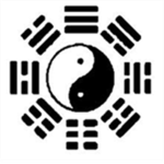 Black Dragon Dojo