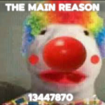The Main Reason