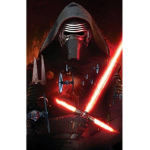 Star Wars Fan!