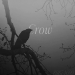 crow_crew