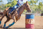 HORSESANDMOREYT