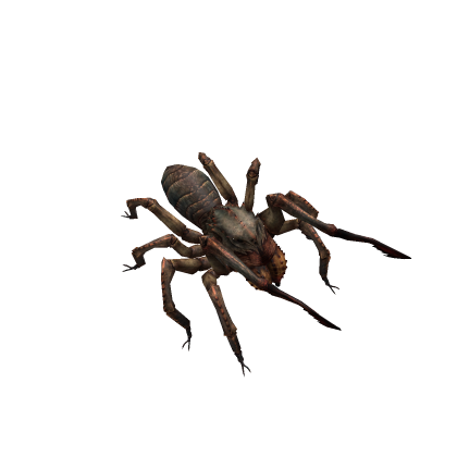 Frostbite Spider