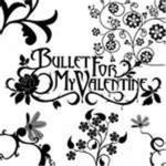 BFMV Fans