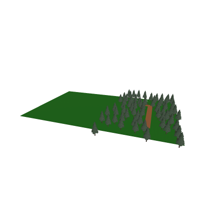 Forest Biome!