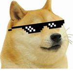 Doge's dog dome