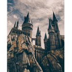 ~Hogwarts Legacy~