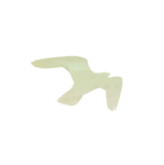 Hayabusa Cruises