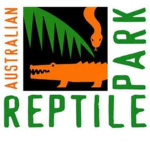 reptiles & birds