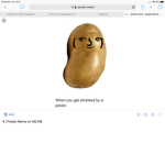 Default Boyz fan group