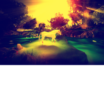 Animal group xD