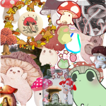 Mushroom group we will have fun!