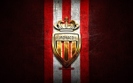 PMFC- Prince Monaco Football Club