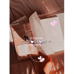— blossom —