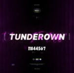 TM | TunderDown BP