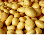 gangue das batata frita