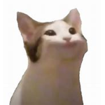 Pop cat Gang {OFFICAL}