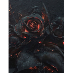 BIack Roses