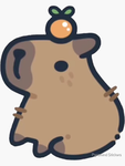 Capibara curioso