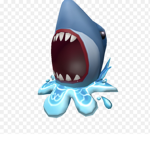 Sharks united! rawr