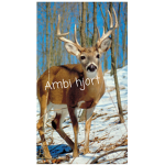Ambi hjort