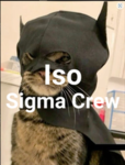 メ Iso