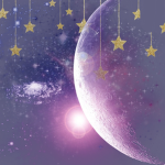 '+ Star Clothing Store +'