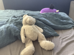 The bear hangout_4342