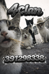 CATZ0NBEATZ