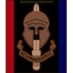The Special Reconnaissance Regiment