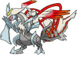 Team Resheas
