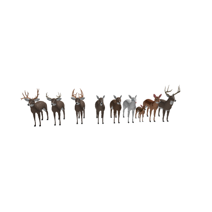 deer pack(MORE SKINS)ready for game