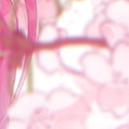 🌸