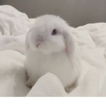 Zoe’s clothing! <3