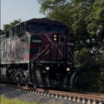 Ferromex 4029