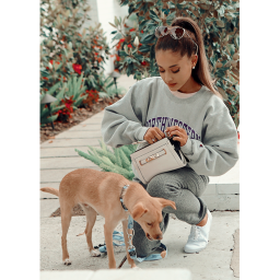 Ariana Grande  Fan game.