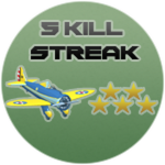 5 Kill Streak
