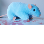 The Diamond Rats Unite