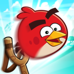shirtybirdy group
