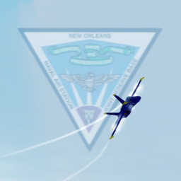 [USAF] NAS JRB Forth Worth
