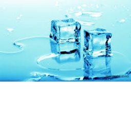 ICE simulator