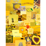 sunflower sqd
