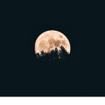 Moon k clothing
