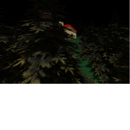 The Forest...
