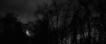 .ills