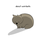 wombatss