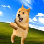 ElectroDogeYT