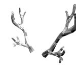 Silver Thorn Antlers unite!