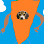 The Carrot Association